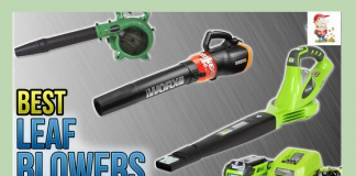 Top 10 Best Cordless Leaf Blower Review
