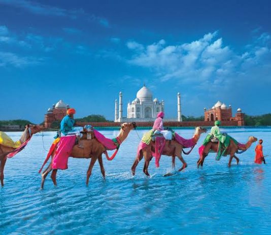 Fun places to go in India