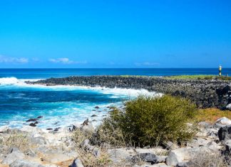 Incredible places for the perfect Galapagos land tour