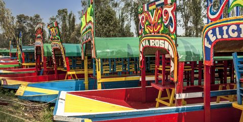 Xochimilco gardens and boats