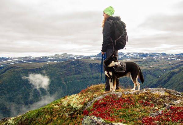 5 Tips for Hiking with Your Dog