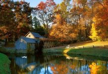 Reasons To Visit Virginia In The Fall