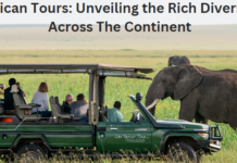 African Tours: Unveiling the Rich Diversity Across The Continent