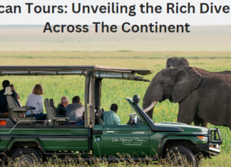 African Tours: Unveiling the Rich Diversity Across The Continent